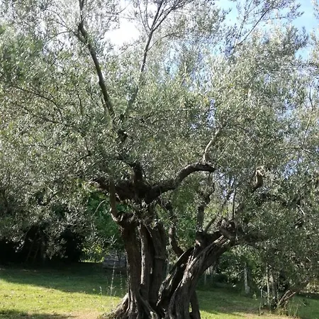 Vacanze In Collina, Tra Mare E Monti Apartment *