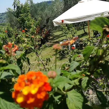 Vacanze In Collina, Tra Mare E Monti *